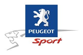 Roll bar Peugeot