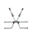Cintura One-D 2 Formula Omp