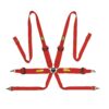 Cintura Tecnica 3+2 Omp - immagine 2