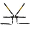 Cintura Sabelt Formula basic steel - immagine 3