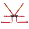 Cintura Sabelt Formula basic steel