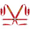 Cintura Sabelt Steel Rally 3x2 - immagine 3