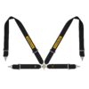 Cintura Sabelt Steel Four Point