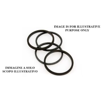 Kit gommini revisione pinze freno AP Racing diametro pistone 38,1/41,3 mm