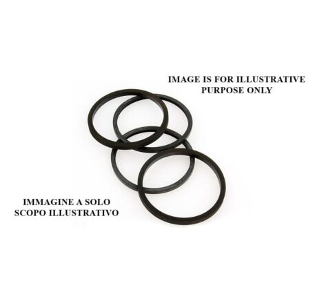 Kit gommini revisione pinze freno AP Racing diametro pistone 38,1 mm