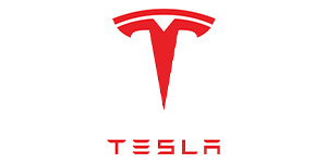 Pastiglie freno Ferodo Racing Tesla