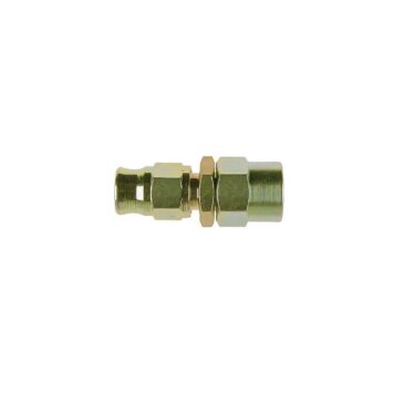 Raccordo dritto femmina per strumenti - BSP 1/8
