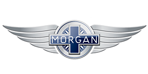 Pastiglie freno Ferodo Racing Morgan